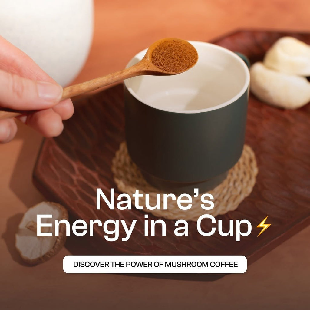 Mendly Mushroom Coffee Starter Kit